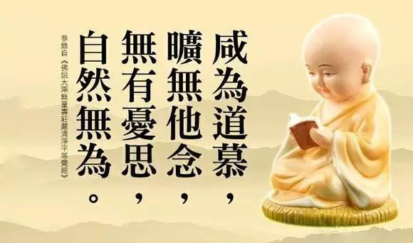 zhenxiang2.jpg